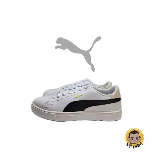 Serve Pro Lite